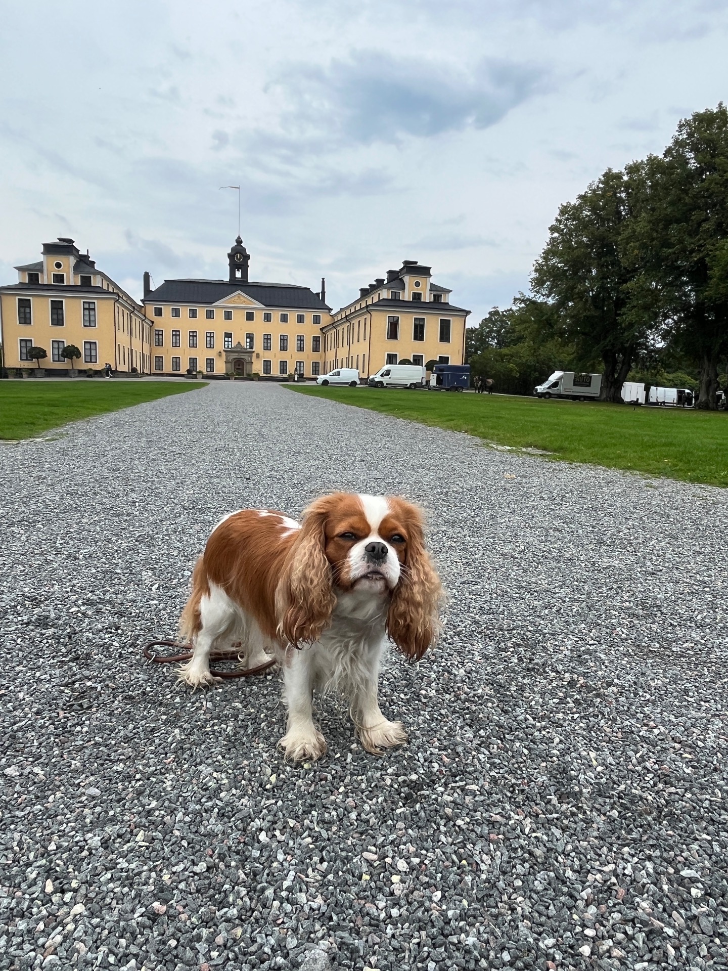 Ulriksdals slott efter en filminspelning 🎬 