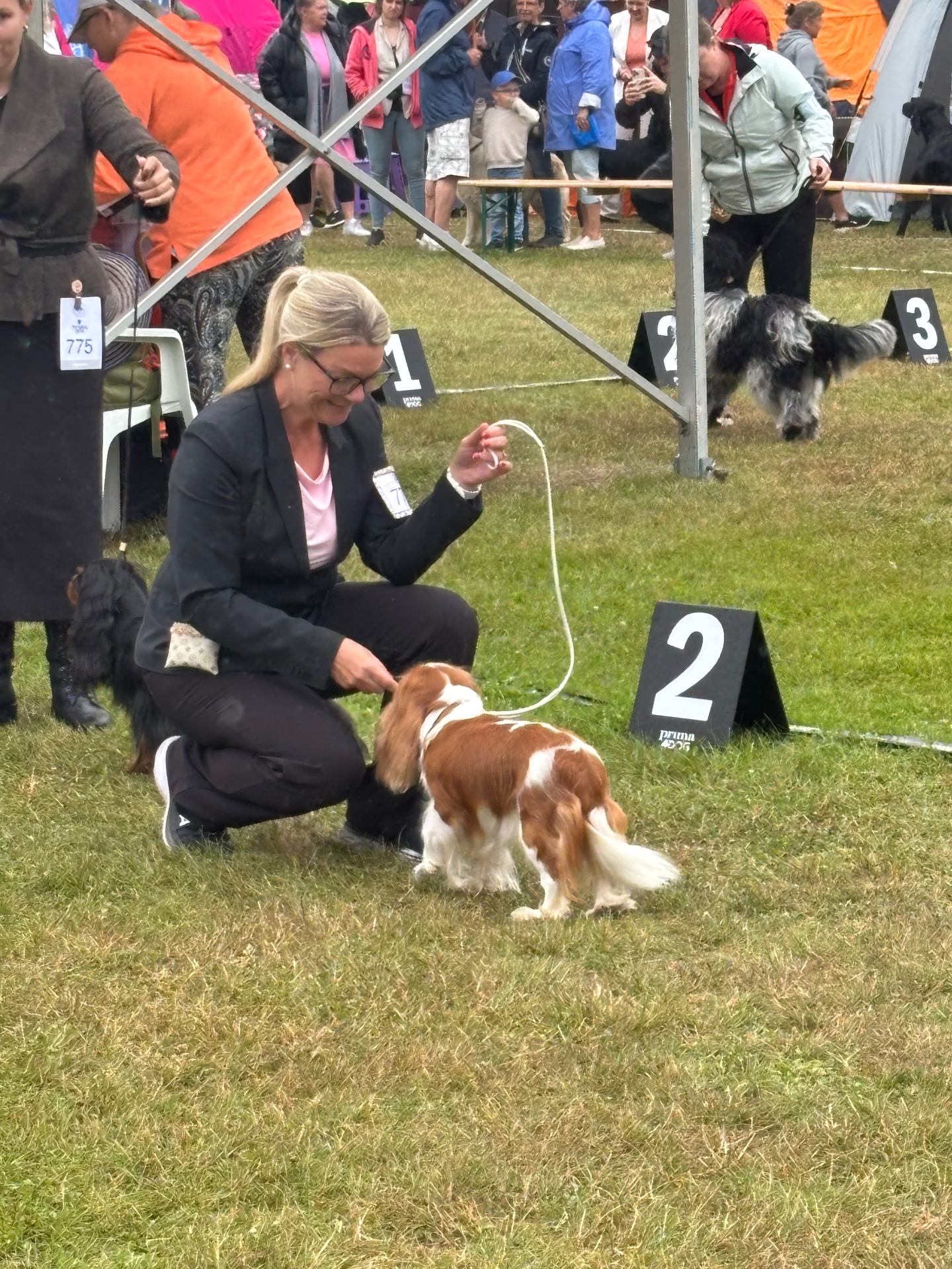 Utställning i Estland