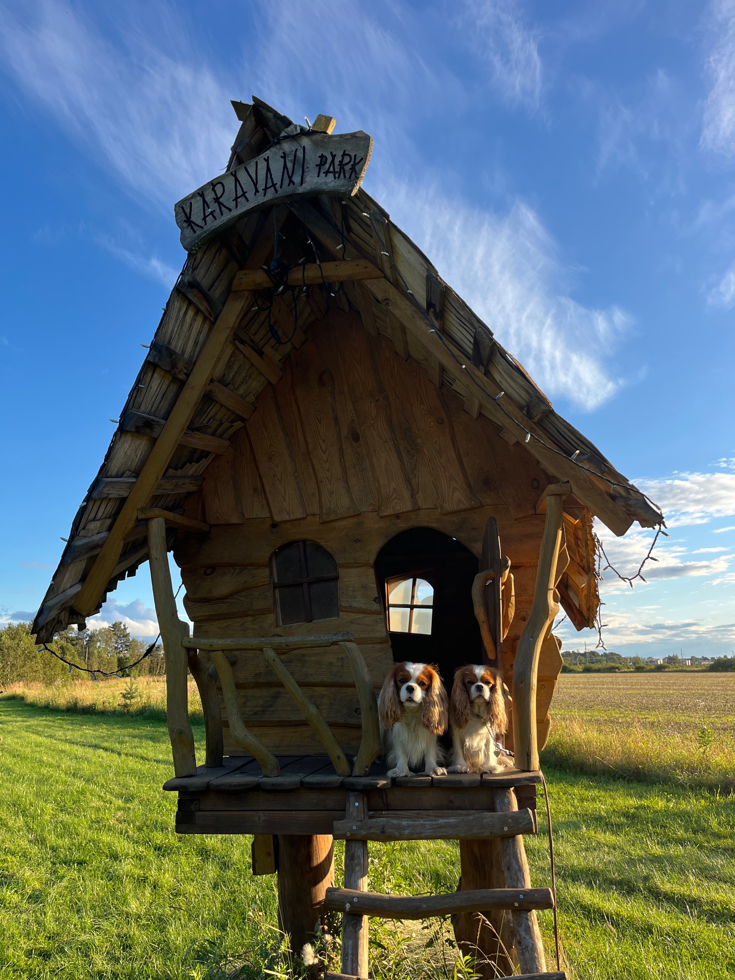 Vera och Freddie i Estland 